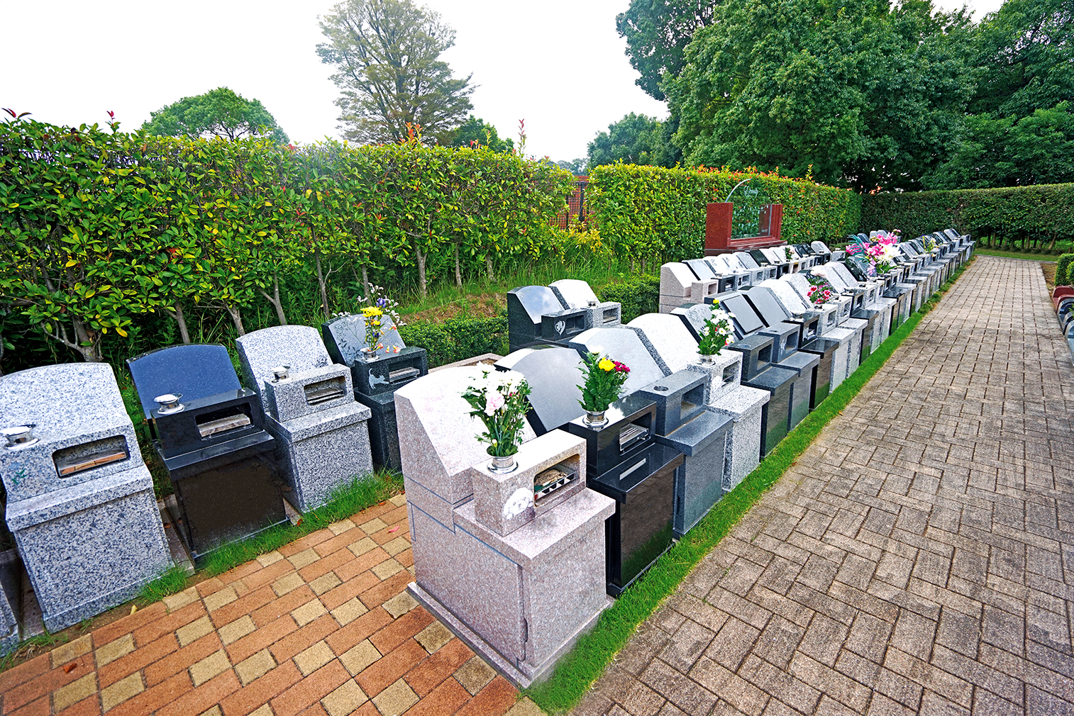 ヒューマンエタニティⅤ