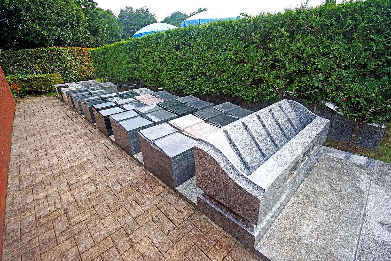 ヒューマンエタニティⅠ