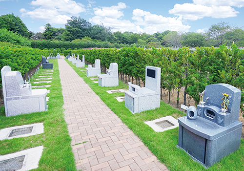 芝生墓所（グリーンウォール付き）